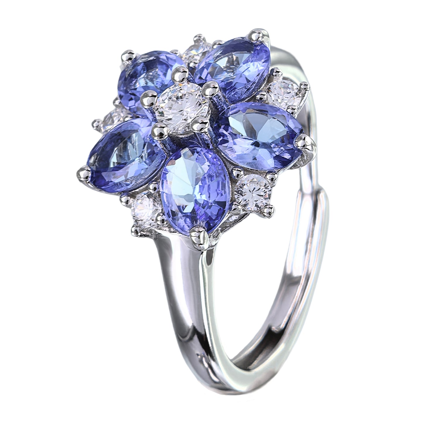 Delicate Rhodium Plated Silver 925 Jewelry Natural Tanzanite Five Leaf Clover Jewelry Set